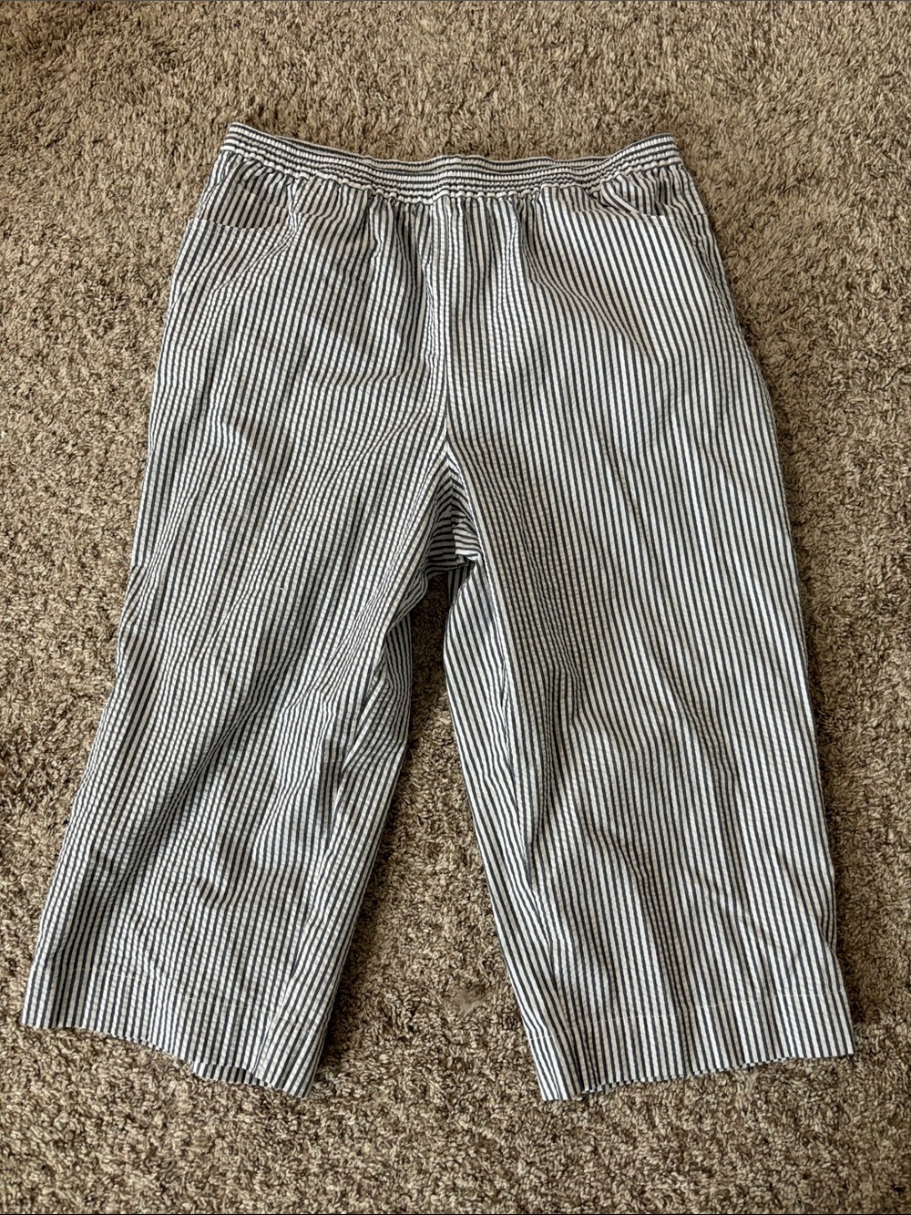 Quacker factory striped Pull-On Pants in Navy and White